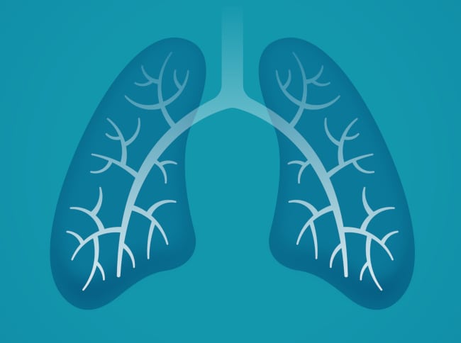 October is Healthy Lung Month! Show Your Lungs Some Love with Salt Therapy
