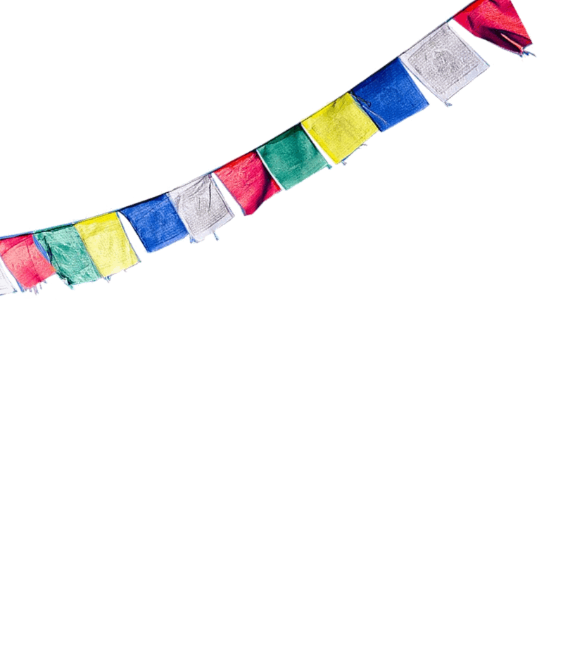 Himalayan Hideaway Salt Cave